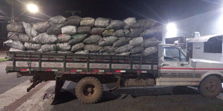 Polícia Ambiental Realiza Apreensão de Carvão e Araucárias sem Documentação em Pinhão-PR