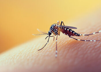 Paraná Registra 2.699 Casos Confirmados de Dengue no Novo Período Epidemiológico