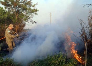 Controle de Incêndios em Imóveis Rurais: Nova Portaria do IAT Define Regras de Prevenção no Paraná