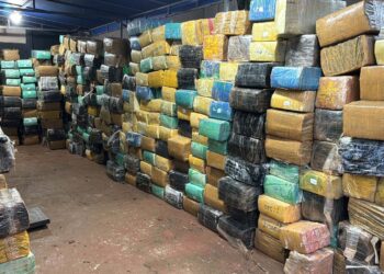 Polícia Civil do Paraná Faz Maior Apreensão de Maconha do Ano em Foz do Iguaçu