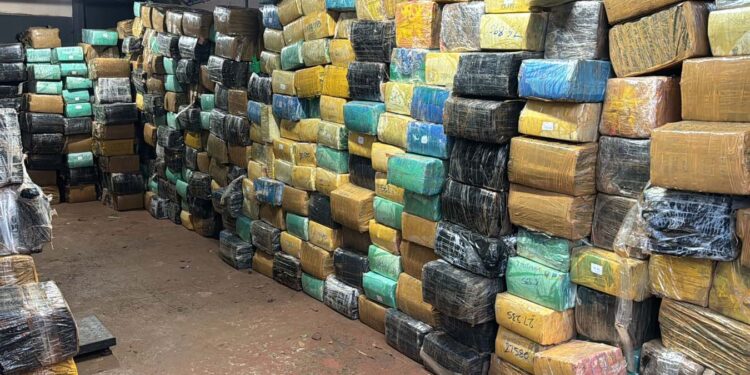 Polícia Civil do Paraná Faz Maior Apreensão de Maconha do Ano em Foz do Iguaçu