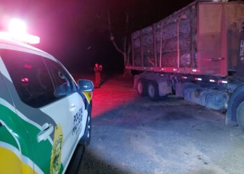Polícia Ambiental Apreende Caminhão com Carga Ilegal de Araucária na PR-438