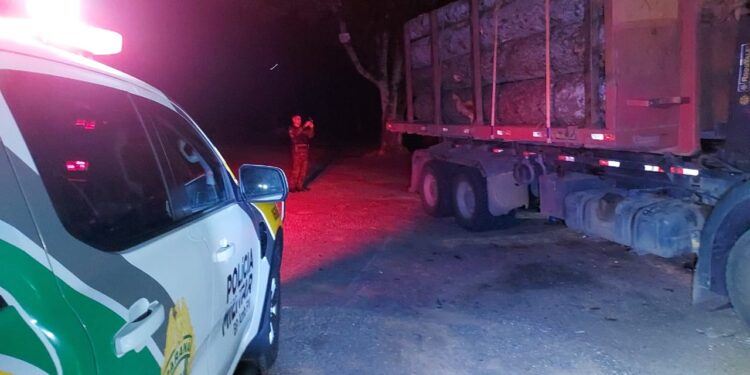 Polícia Ambiental Apreende Caminhão com Carga Ilegal de Araucária na PR-438