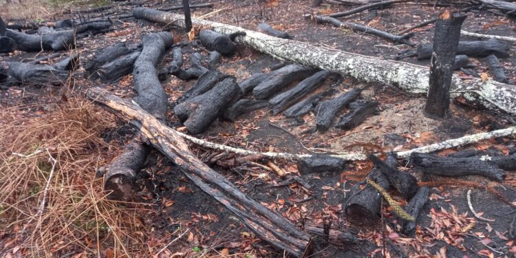 Destruição de Mata Atlântica com Uso de Fogo Gera Multa de R$ 70 Mil em Prudentópolis