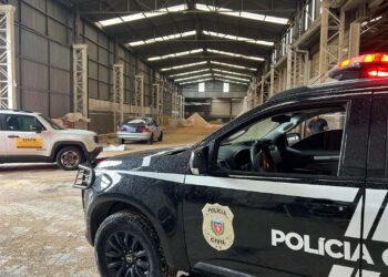 Operação da PCPR Desarticula Esquema de Adulteração em Farelo de Soja para Exportação