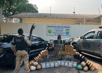 Polícia Militar do Paraná Intercepta Mais de Meia Tonelada de Maconha em Operação de Trânsito