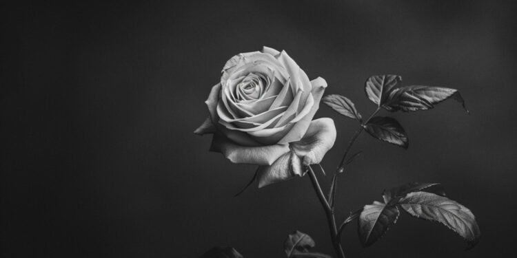 Guarapuava se Despede de Vidas Queridas: Notas de Falecimento e Informações sobre Velórios