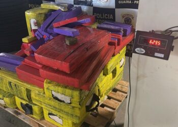 Operação Conjunta entre PF e BPFron Apreende Mais de 600 Kg de Maconha em Guaíra e Recupera Veículo Roubado