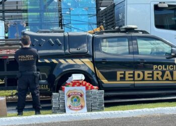 “Golpe Duplo: PF Prende Suspeitos por Tráfico de Drogas e Contrabando no Paraná”