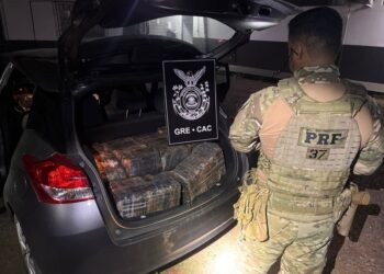 Operação Conjunta em Cascavel/PR Resulta na Apreensão de 253 kg de Maconha na BR-277