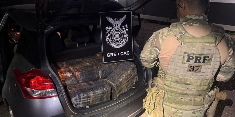 Operação Conjunta em Cascavel/PR Resulta na Apreensão de 253 kg de Maconha na BR-277