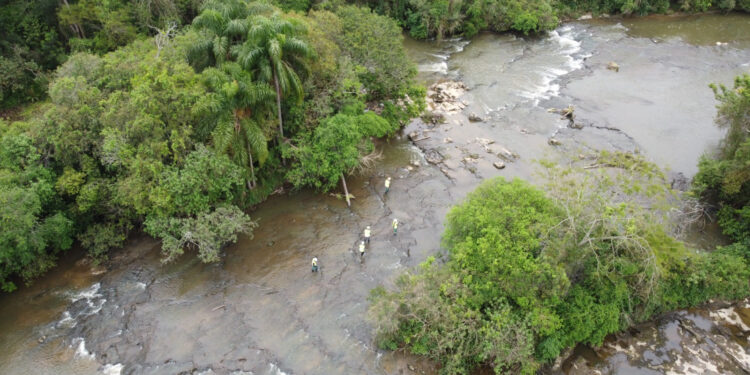 Polícia Ambiental e IAT Investigam Mortes de Peixes no Rio Iguaçu