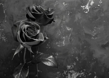 Comunicado de Óbitos do Dia – Amor Real Notícias