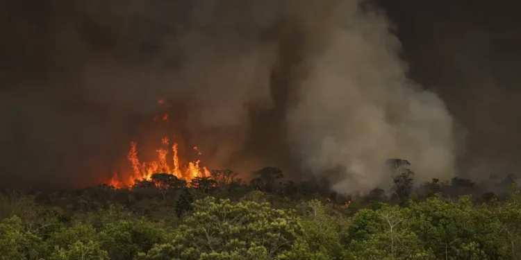 Brasil Enfrenta Ano Devastador de Incêndios: 22,38 Milhões de Hectares Queimados até Setembro