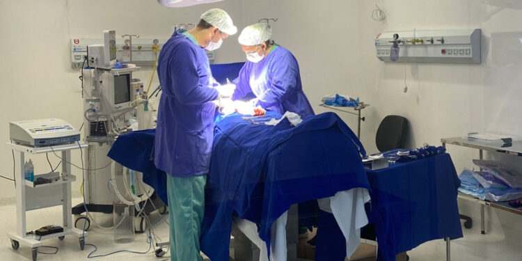 Paraná Alcança Recorde em Cirurgias Eletivas: Mais de 1.800 Procedimentos por Dia