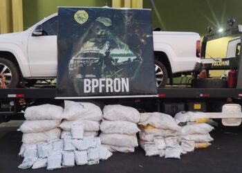BPFron Apreende 505 kg de Agrotóxicos Contrabandeados em Perobal