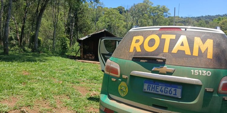 Flagrante de Crime Ambiental em Pinhão Termina com Prisão: Desmatamento Ilegal em Área Protegida
