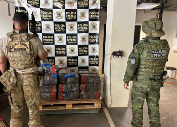 Forças de Segurança Interceptam Comboio com 300 Kg de Maconha em Operação em Guaíra/PR