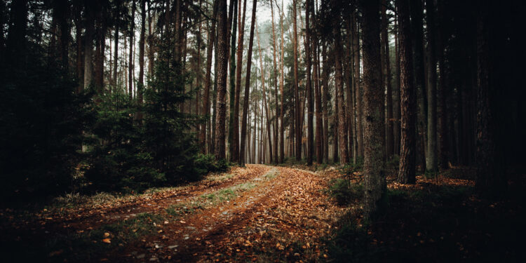 O Mistério do Triângulo de Bennington: Desaparecimentos Inexplicáveis na Floresta de Vermont