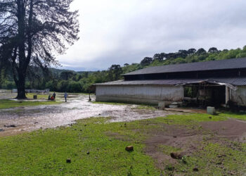 Enxurrada em General Carneiro: Corpo de Bombeiros do Paraná Envia Reforços para Resgate de Criança Desaparecida