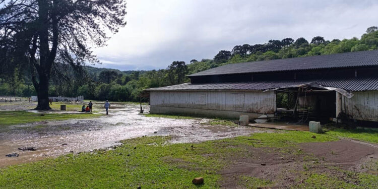 Enxurrada em General Carneiro: Corpo de Bombeiros do Paraná Envia Reforços para Resgate de Criança Desaparecida