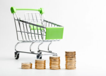 Corte de Gastos e Redesenho do Abono Salarial: Quem Paga a Conta das Reformas no Governo?