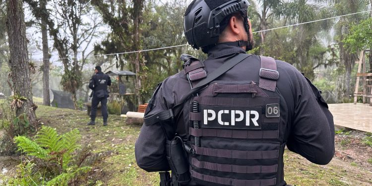 Operação da Polícia Civil Desmantela Rede de Tráfico de Drogas no Norte do Paraná com Prisão de 12 Suspeitos