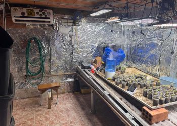 “Estufa de Maconha com Ar-Condicionado? Polícia de Piraquara Encontra ‘Jardim Secreto’ do Tráfico”