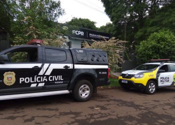 “Polícia Civil do Paraná investiga furto de carneiros em operação no Noroeste do Estado”