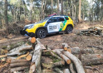 “Devastação na Lapa: Polícia Ambiental Autua Crime Contra a Flora e Embarga Área de 3,5 Hectares”