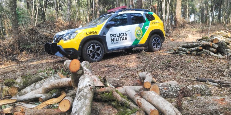 “Devastação na Lapa: Polícia Ambiental Autua Crime Contra a Flora e Embarga Área de 3,5 Hectares”