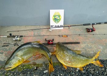 “Três Pescadores São Presos por Pesca Ilegal Durante a Piracema em Pinhão-PR”