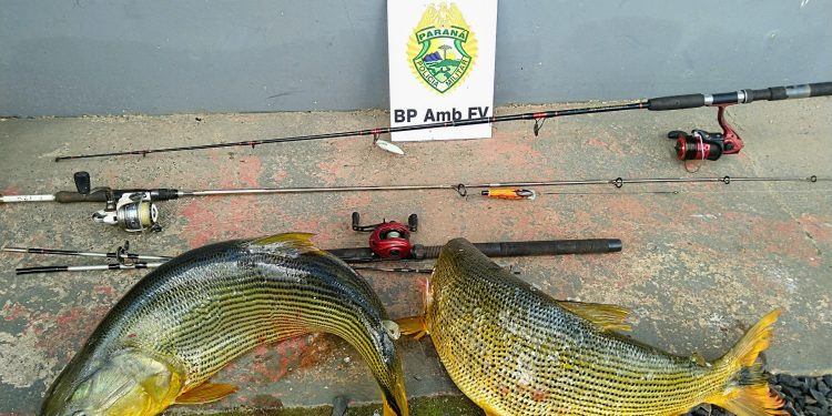 “Três Pescadores São Presos por Pesca Ilegal Durante a Piracema em Pinhão-PR”