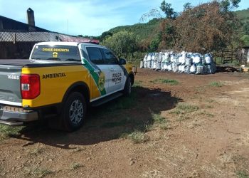 “De Carvão a Revólver: Patrulhamento Ambiental em Campina do Simão Termina em Prisão e Multa Pesada”