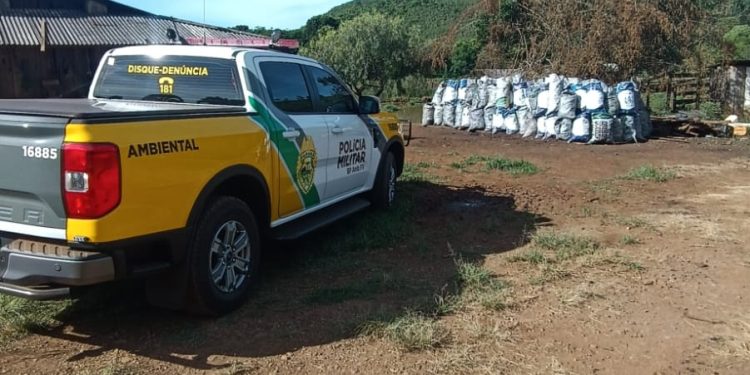 “De Carvão a Revólver: Patrulhamento Ambiental em Campina do Simão Termina em Prisão e Multa Pesada”