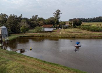 “Licenciamento Ambiental no Paraná: PGE Rebate Críticas do Ibama e Defende Modernização da Lei”