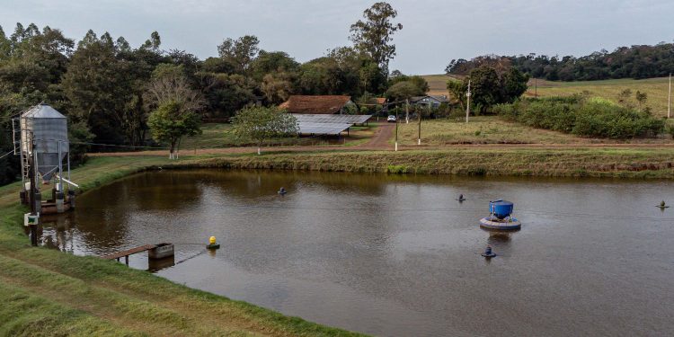 “Licenciamento Ambiental no Paraná: PGE Rebate Críticas do Ibama e Defende Modernização da Lei”