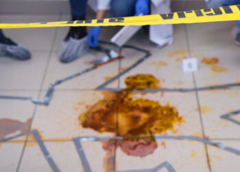 “Morte em Estrada Rural de Prudentópolis Levanta Questões Sobre Saúde Pública e Vulnerabilidade”