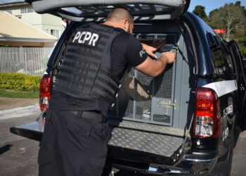 “Polícia Civil do Paraná Aumenta em 118% o Número de Prisões por Homicídios em 2024: Uma Resposta à Impunidade”