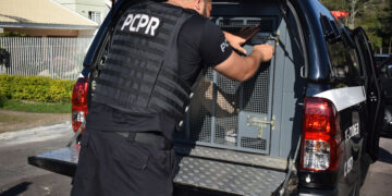 “Polícia Civil do Paraná Aumenta em 118% o Número de Prisões por Homicídios em 2024: Uma Resposta à Impunidade”