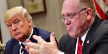 Deportações em massa: futuro governo Trump anuncia início das operações em Chicago