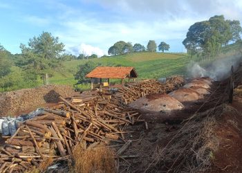 “Fornos Irregulares: Operação em Turvo Apreende Mais de 5 Toneladas de Carvão Ilegal”