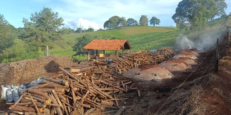 “Fornos Irregulares: Operação em Turvo Apreende Mais de 5 Toneladas de Carvão Ilegal”