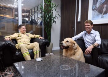 “Guarda-Vidas e a Vigilância do Verão: TCE-PR na Linha de Frente da Segurança nas Praias Paranaenses”