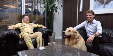 “Guarda-Vidas e a Vigilância do Verão: TCE-PR na Linha de Frente da Segurança nas Praias Paranaenses”