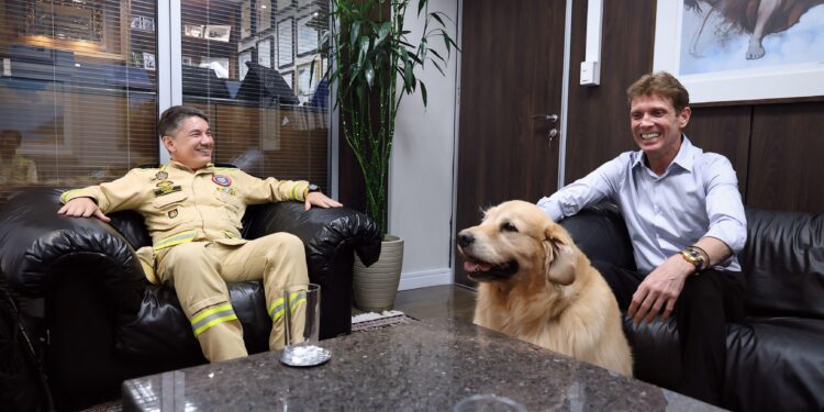 “Guarda-Vidas e a Vigilância do Verão: TCE-PR na Linha de Frente da Segurança nas Praias Paranaenses”