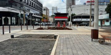 “Guarapuava em Construção: A Batalha pela Rua XV e o Desafio da Gestão Pública”