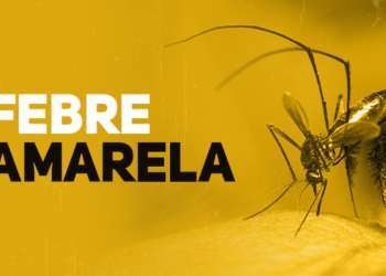 “São Paulo Enfrenta Surto de Febre Amarela: Três Mortes Confirmadas em Janeiro de 2025”
