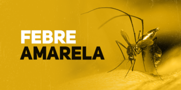 “São Paulo Enfrenta Surto de Febre Amarela: Três Mortes Confirmadas em Janeiro de 2025”