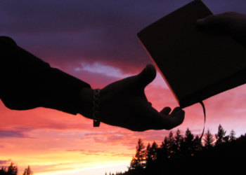 “As Consequências da Desobediência II”